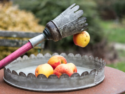 Cueille-fruits